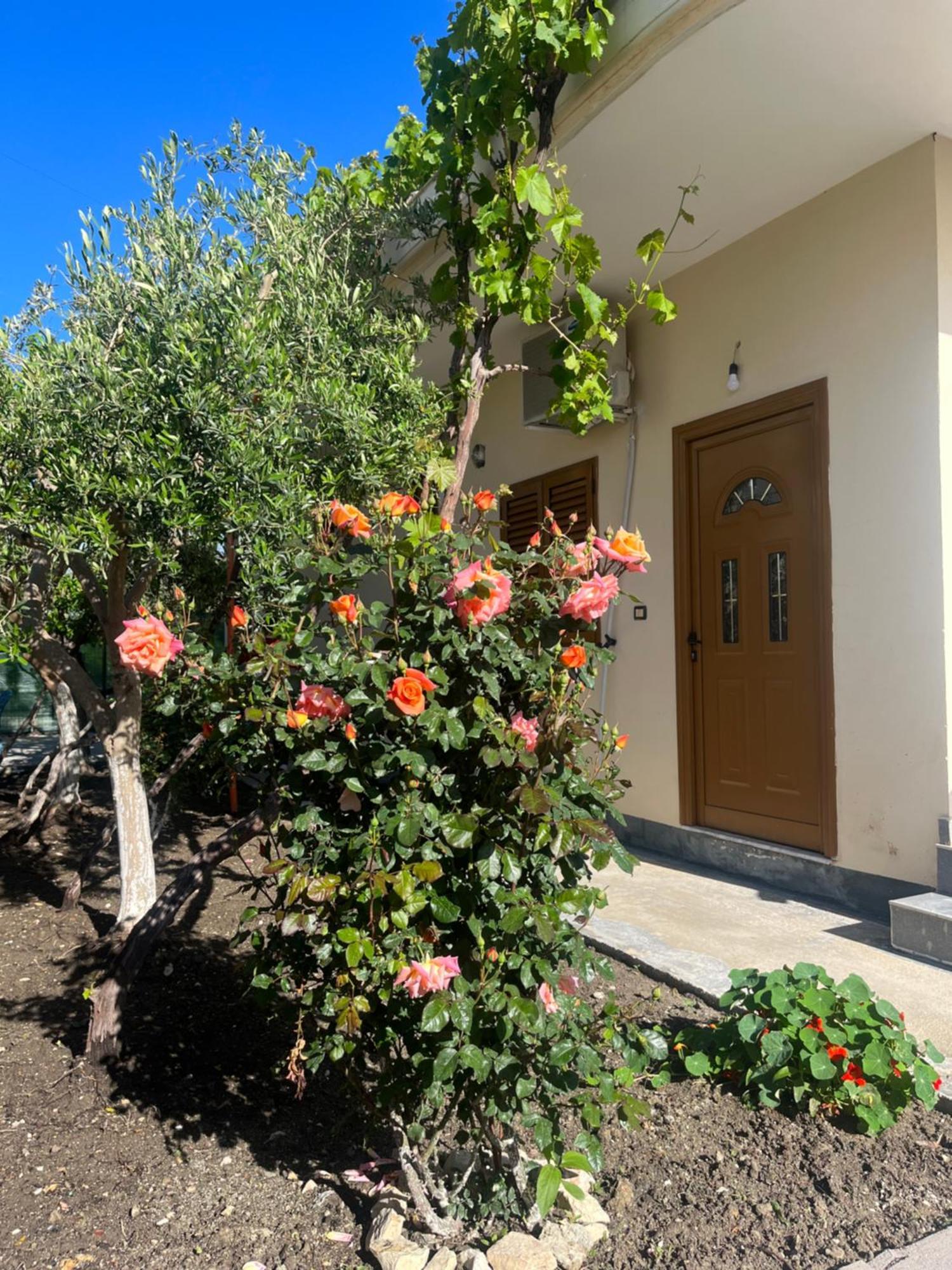 Blossom Apartments Vlorë エクステリア 写真