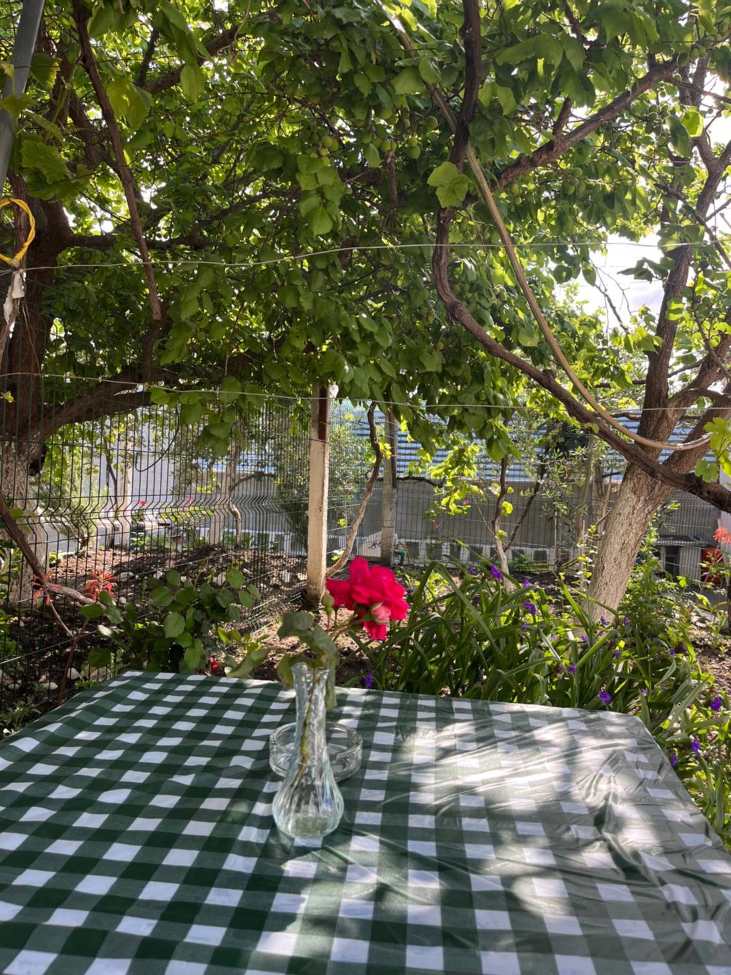 Blossom Apartments Vlorë エクステリア 写真