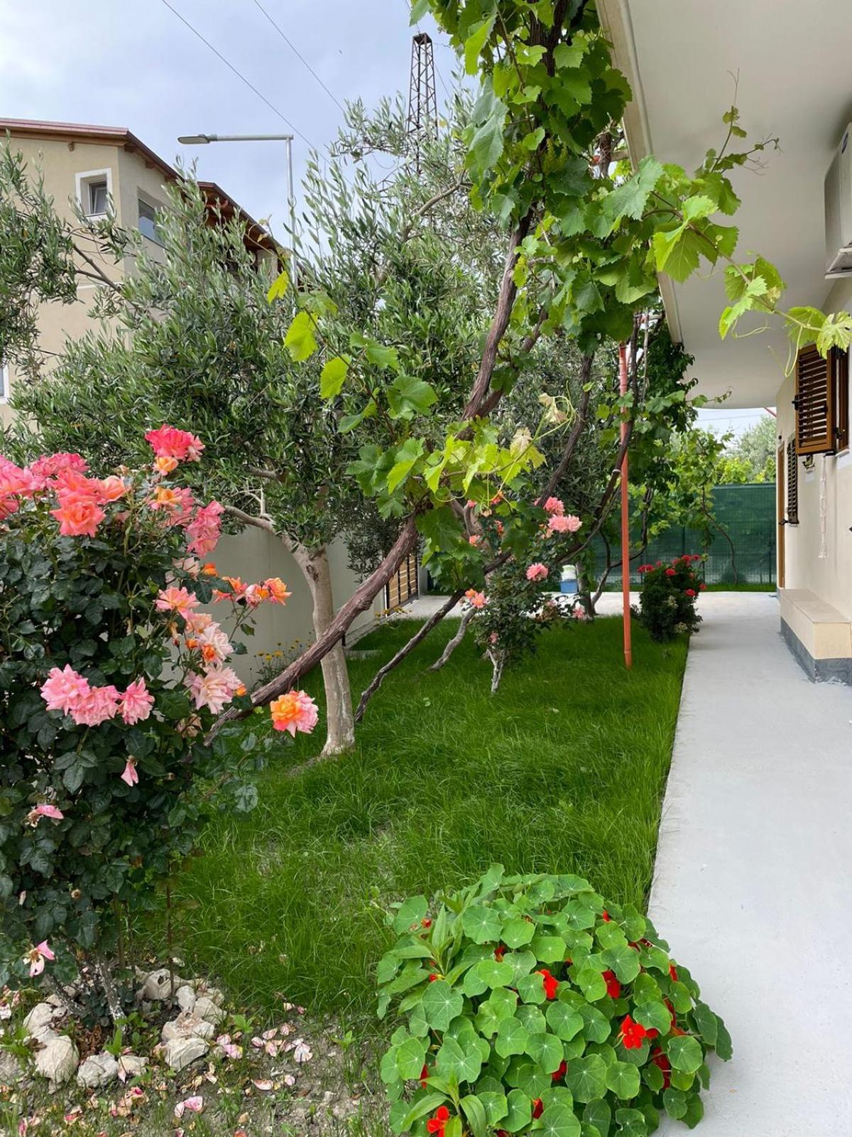 Blossom Apartments Vlorë エクステリア 写真
